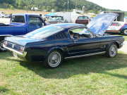 Mustang